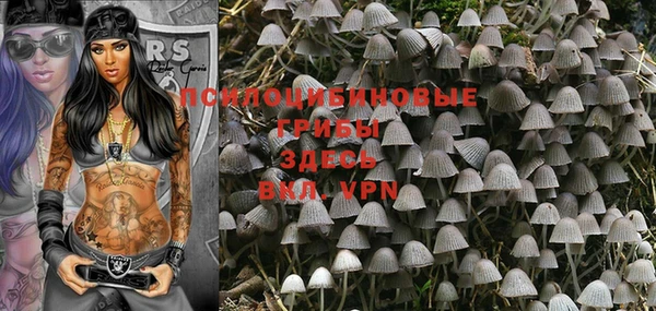 марки lsd Кинешма