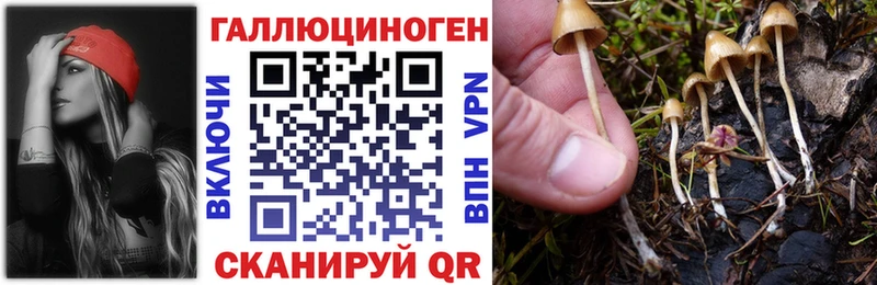 Галлюциногенные грибы Magic Shrooms  Купить где  Белый 