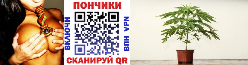 Купить  Белый  Канабис семена 